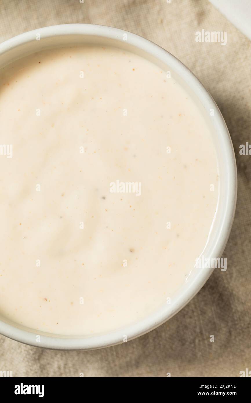 Homemade Alabama White Sauce for Chicken on the Barbecue Stock Photo ... Homemade Alabama White Sauce for Chicken on the Barbecue Stock Photo ...