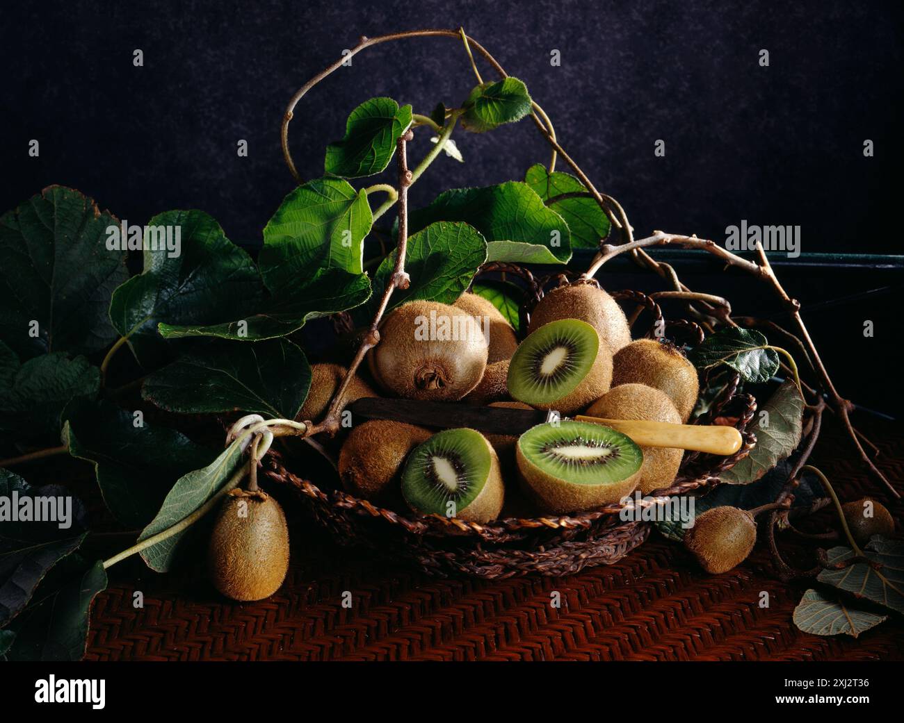 Painting kiwi hi-res stock photography and images - Alamy