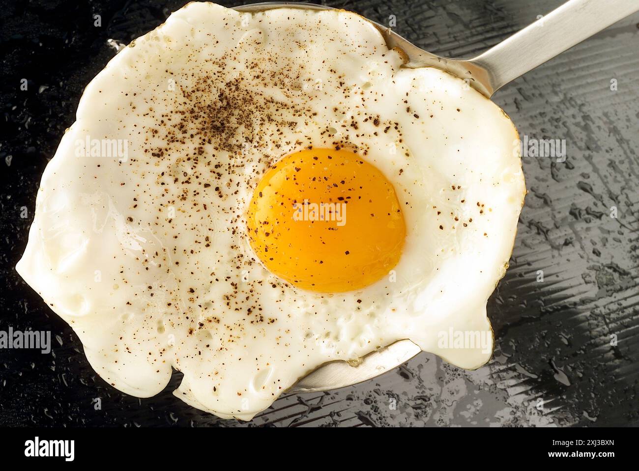 fried egg Stock Photo