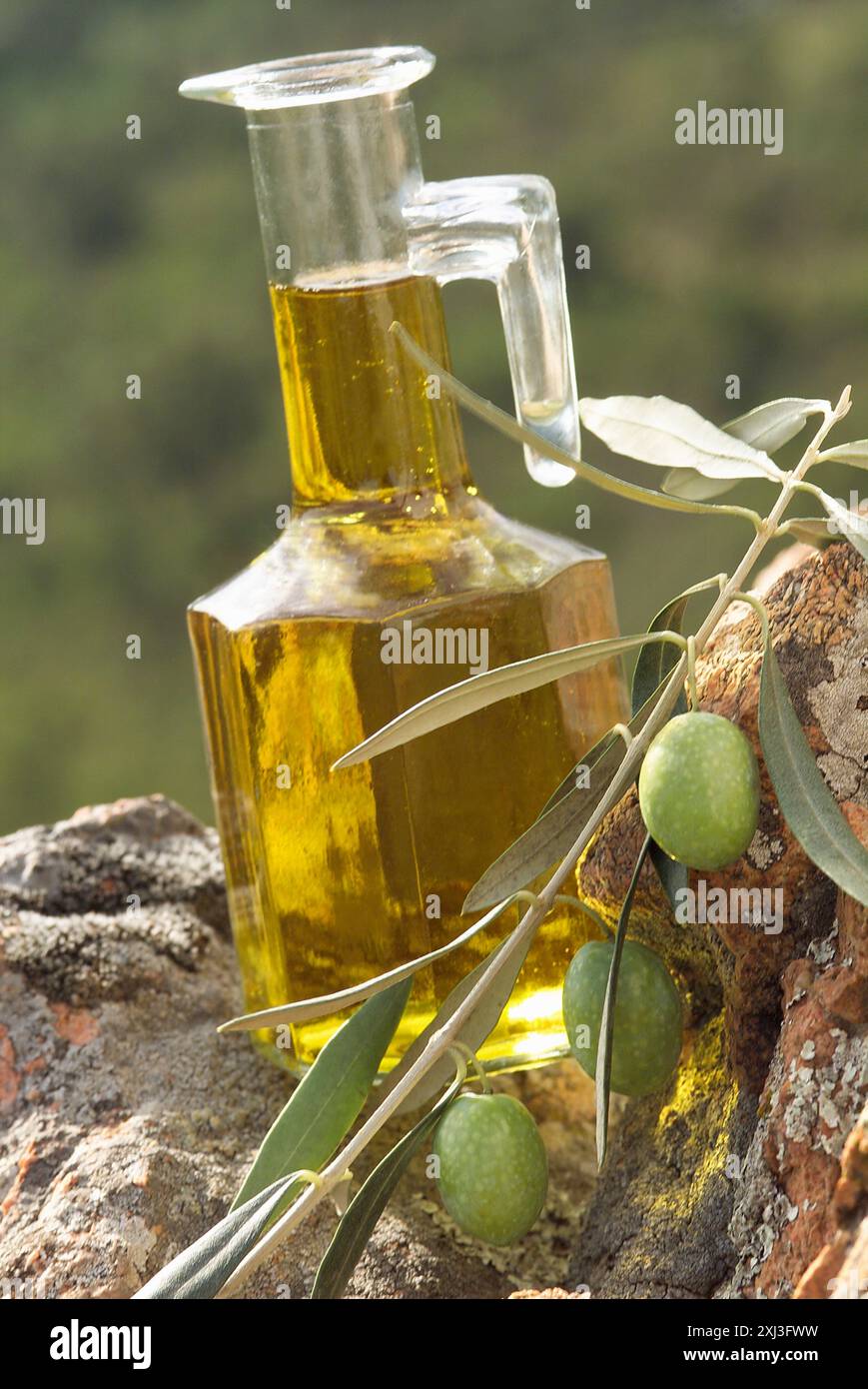 olive oil and olive branch Stock Photo - Alamy