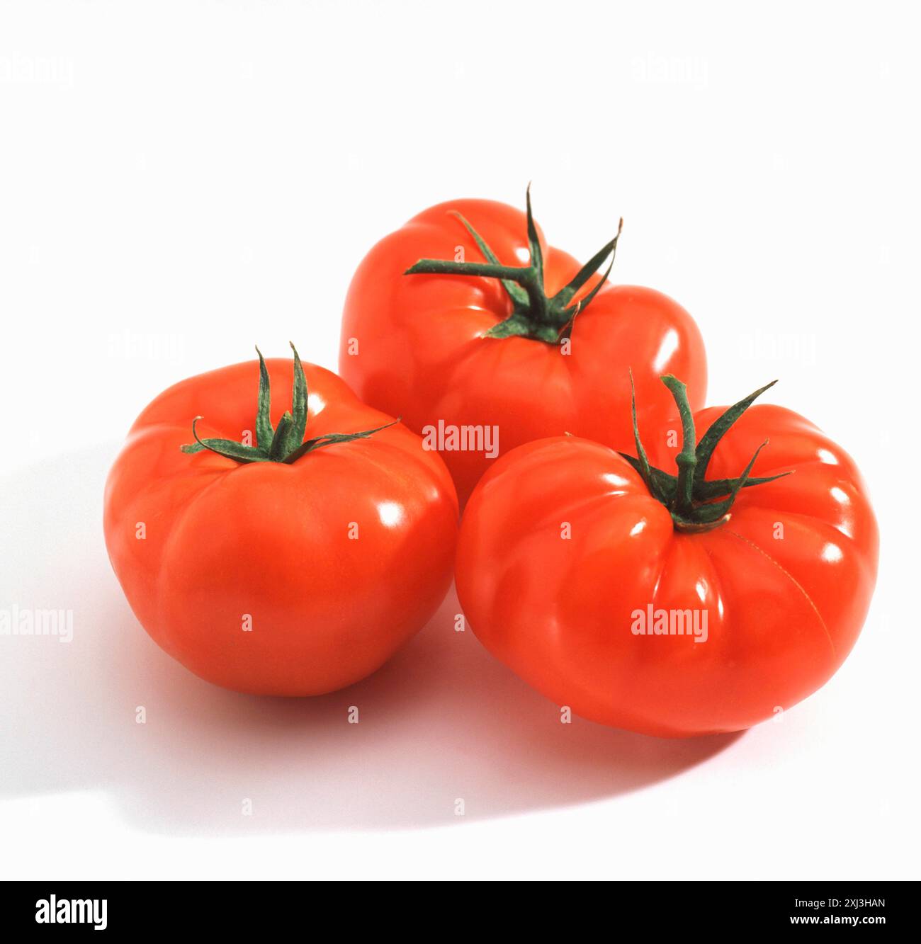 Tomatoes Stock Photo