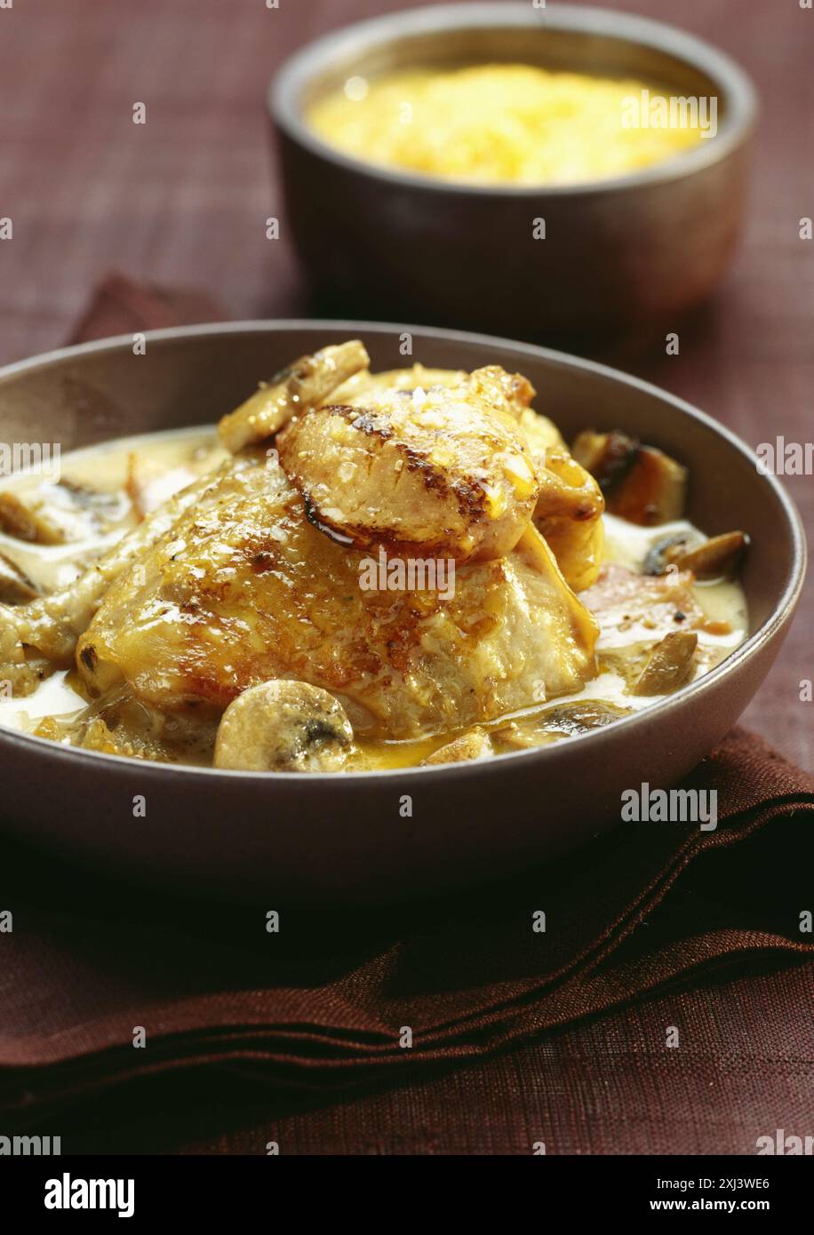 Turkey fricasse with foie gras Stock Photo