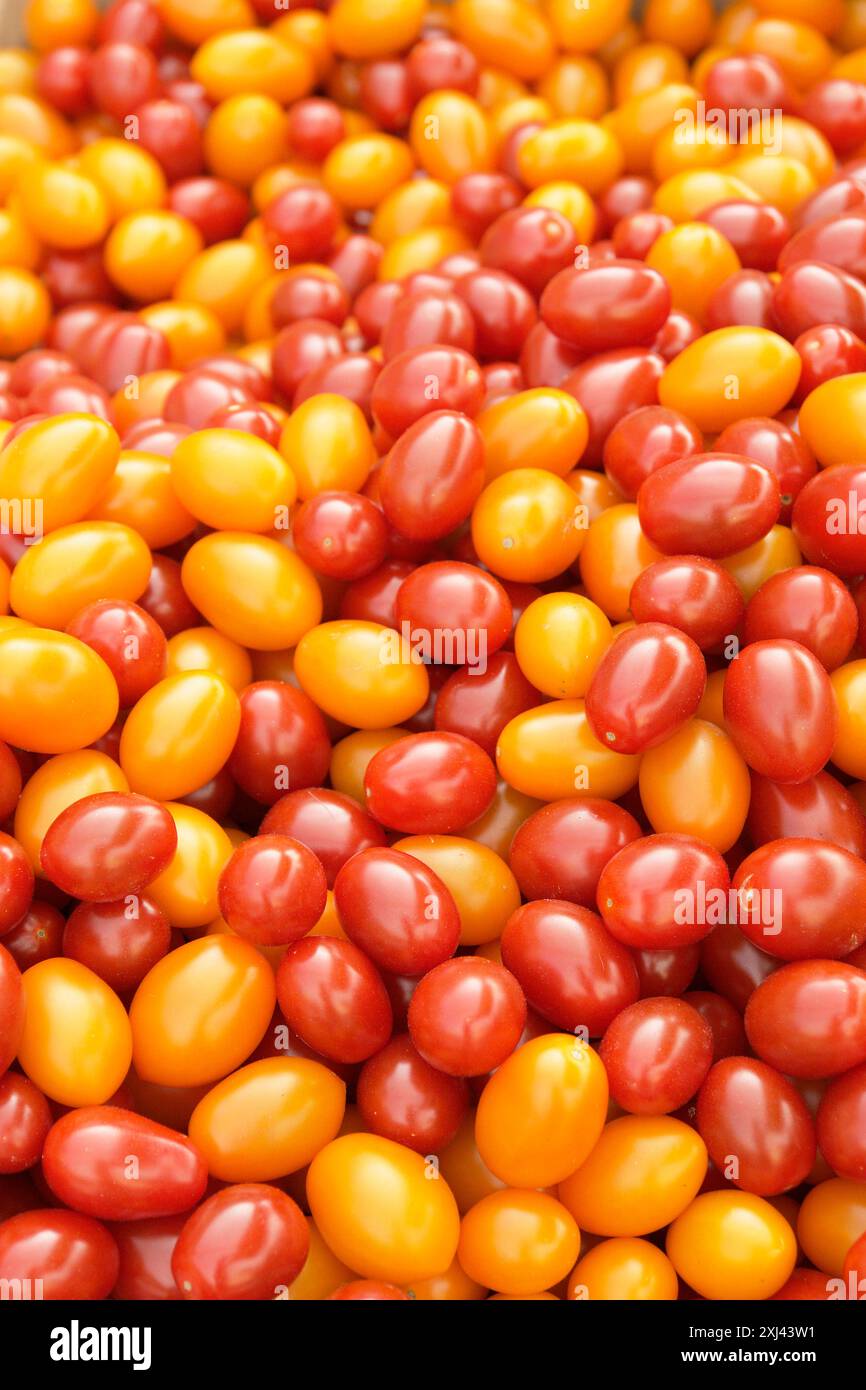 Display of red and yellow cherry tomatoes Stock Photo - Alamy