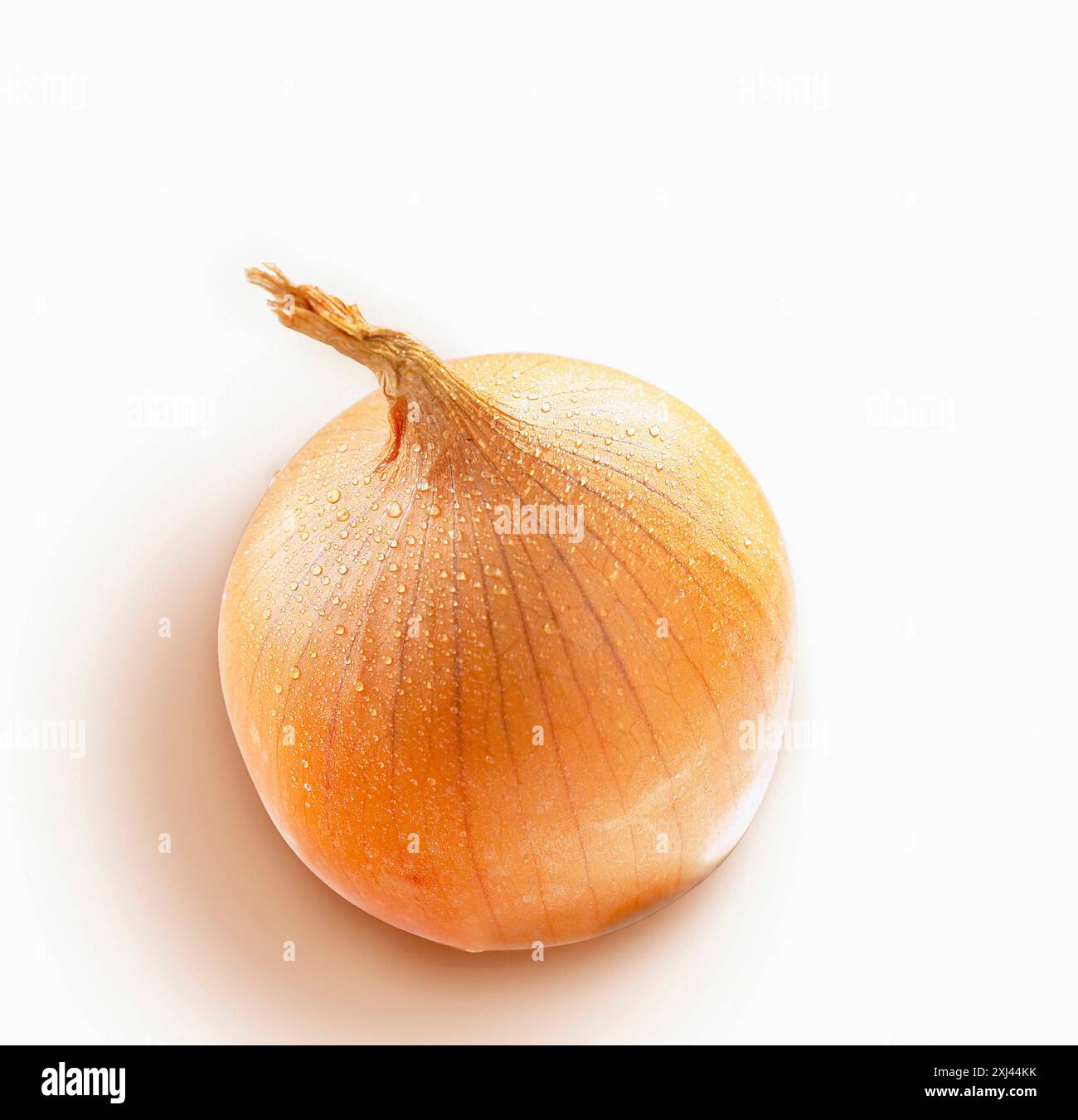 Full of onion hi-res stock photography and images - Alamy