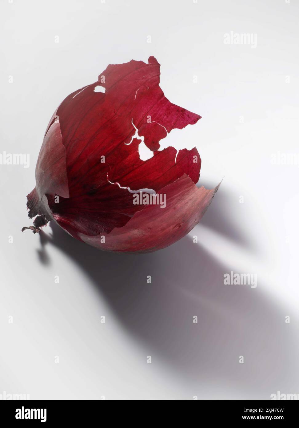 Peeling an onion hi-res stock photography and images - Alamy