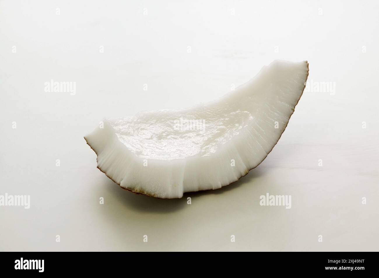 piece of coconut Stock Photo