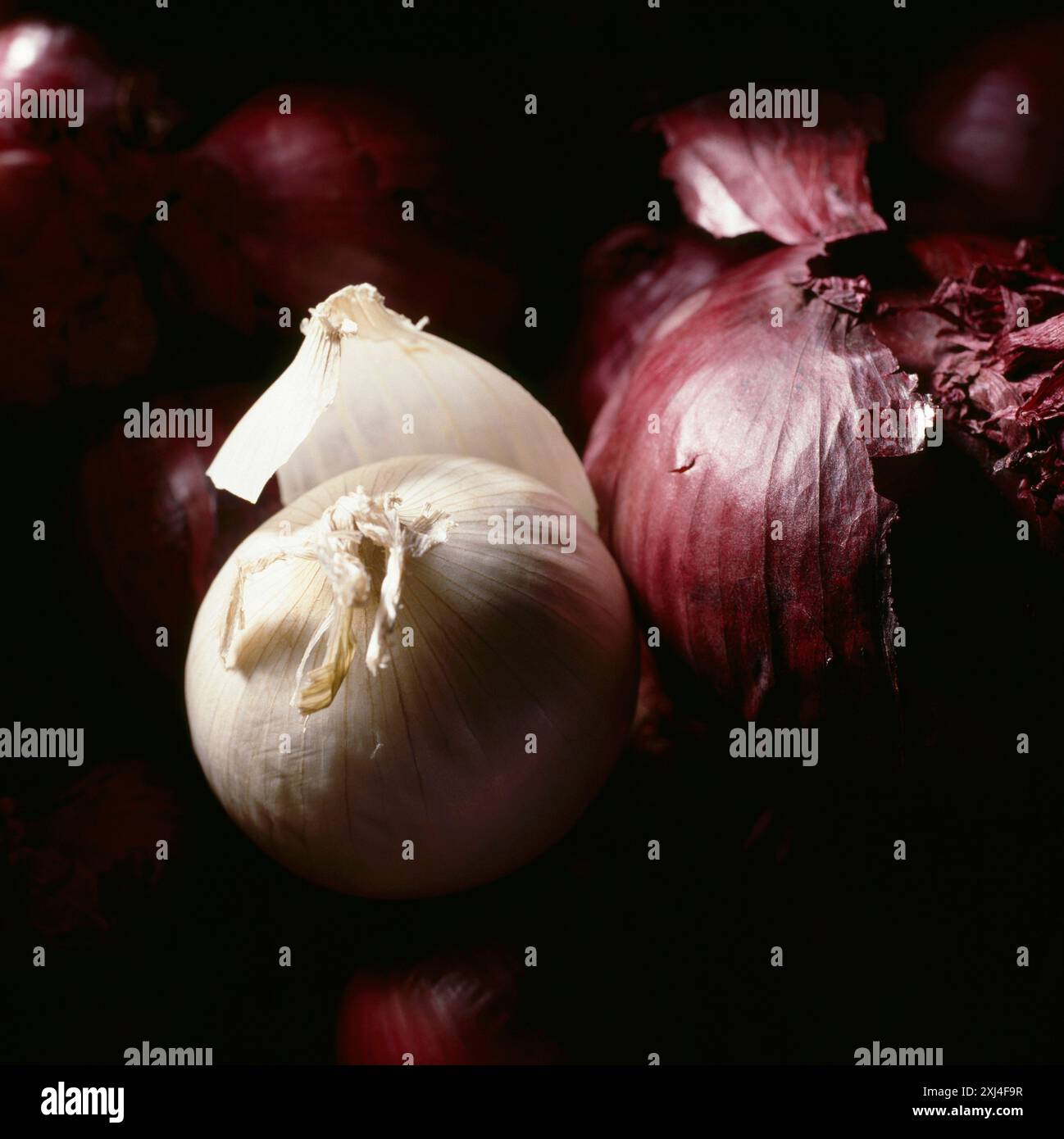 Peeling the onion hi-res stock photography and images - Alamy
