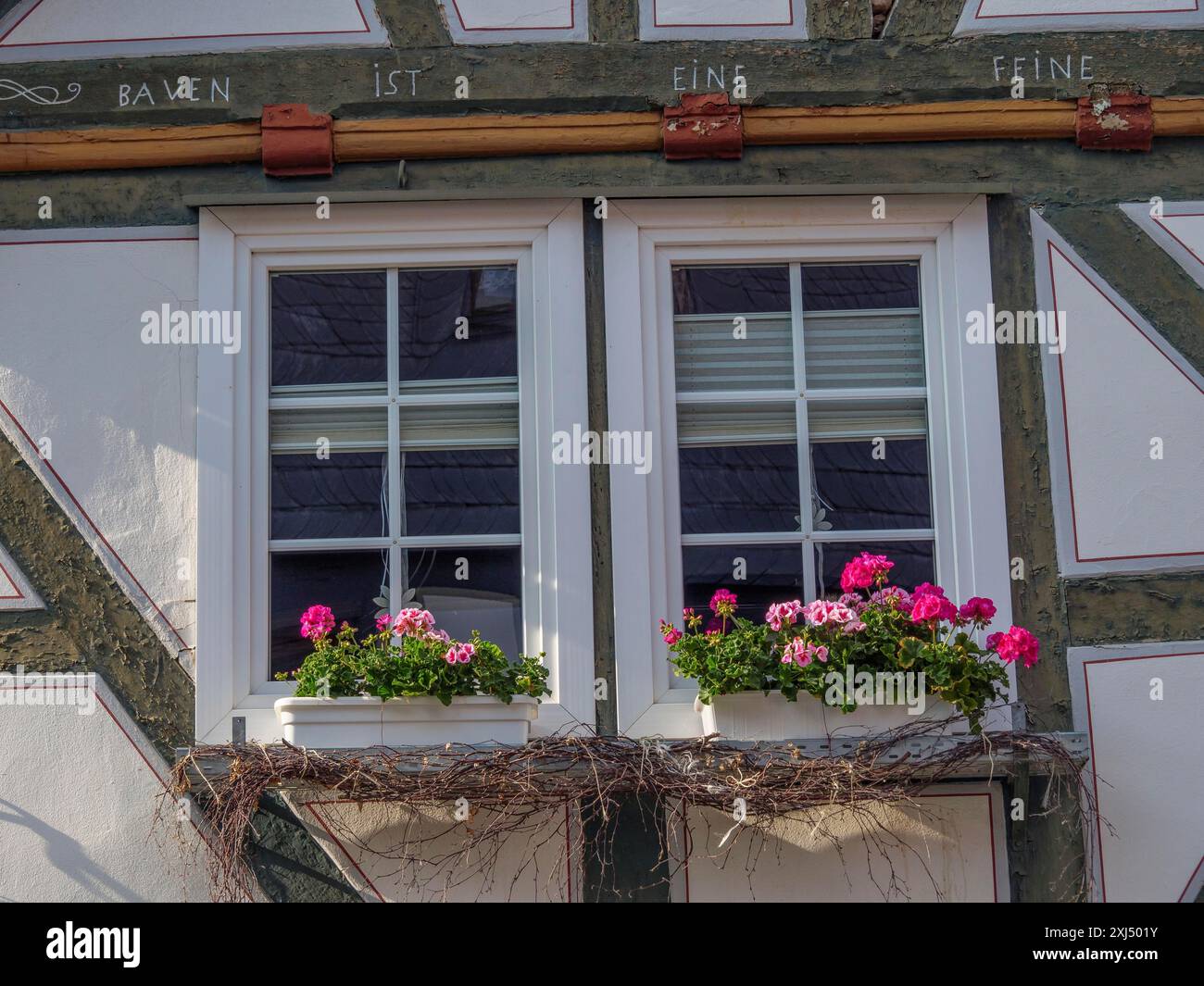 Two windows with flower boxes full of pink flowers in a historic half ...