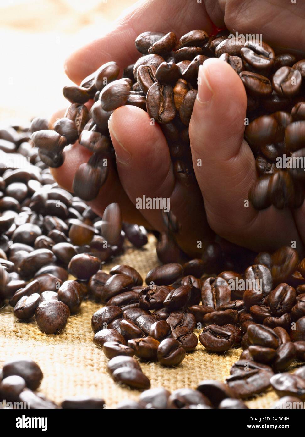 Handful of coffee beans Stock Photo