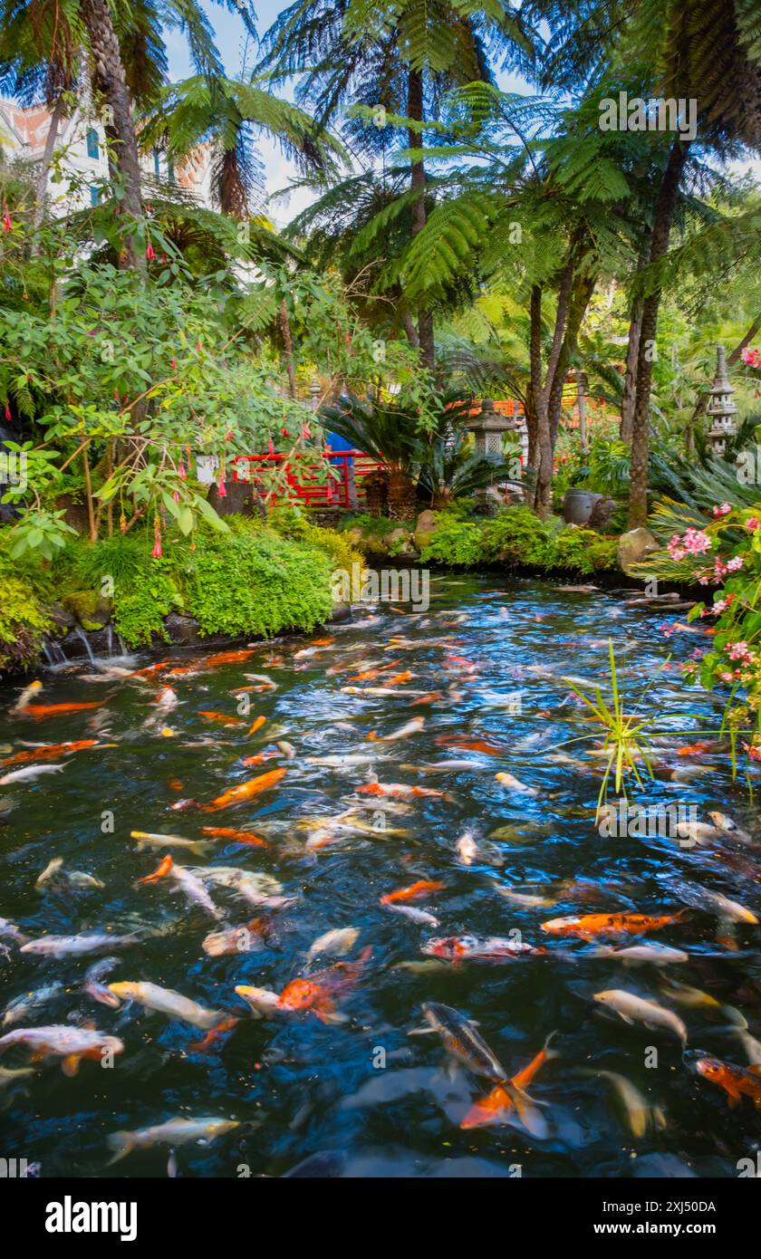 Featuring tropical scenery hi-res stock photography and images - Alamy