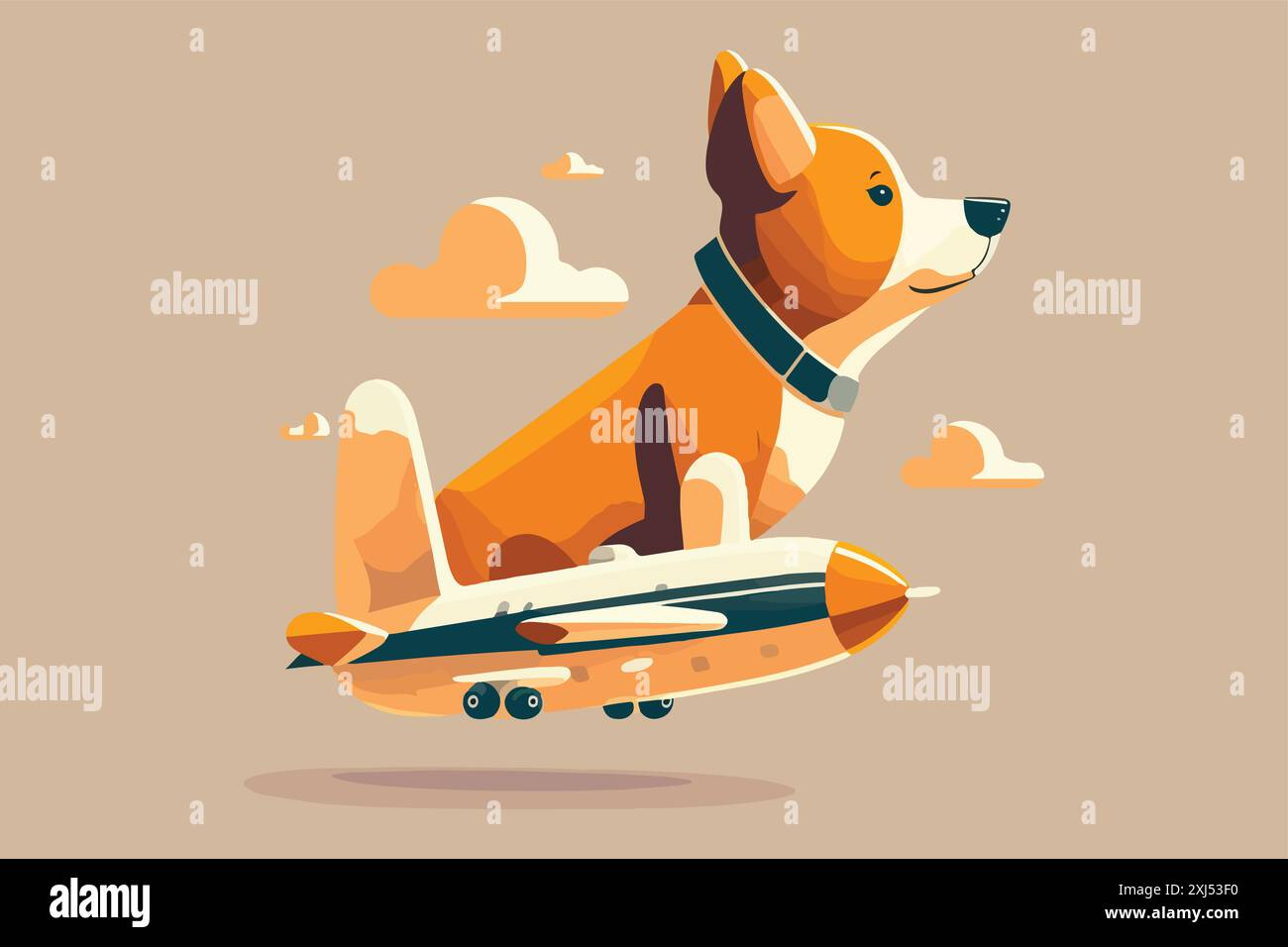 Flying With a Dog: Rules, Safety, and Airline Information - Can I Bring A Dog On A Plane Domestic