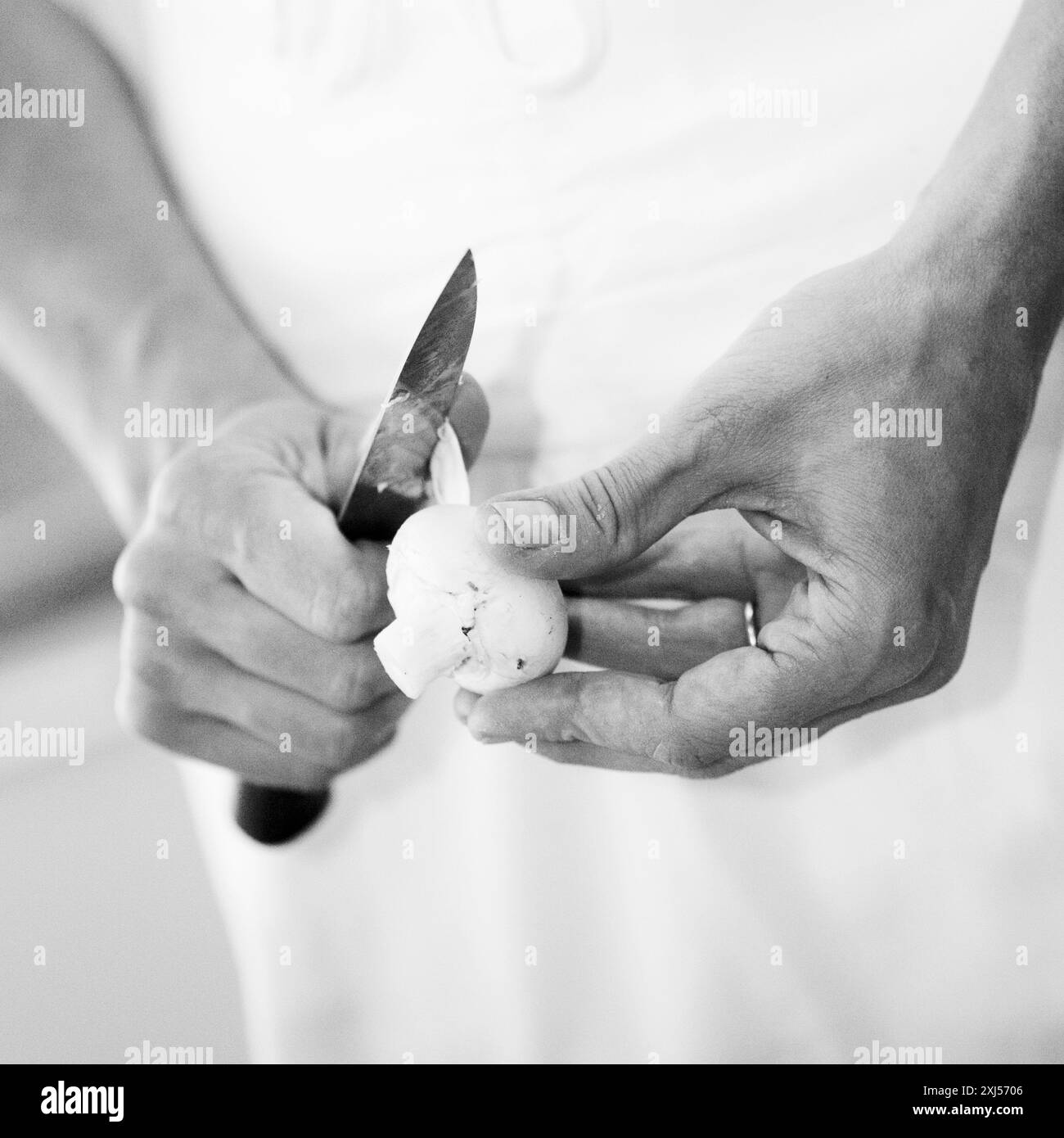 Peeling a button mushroom Stock Photo