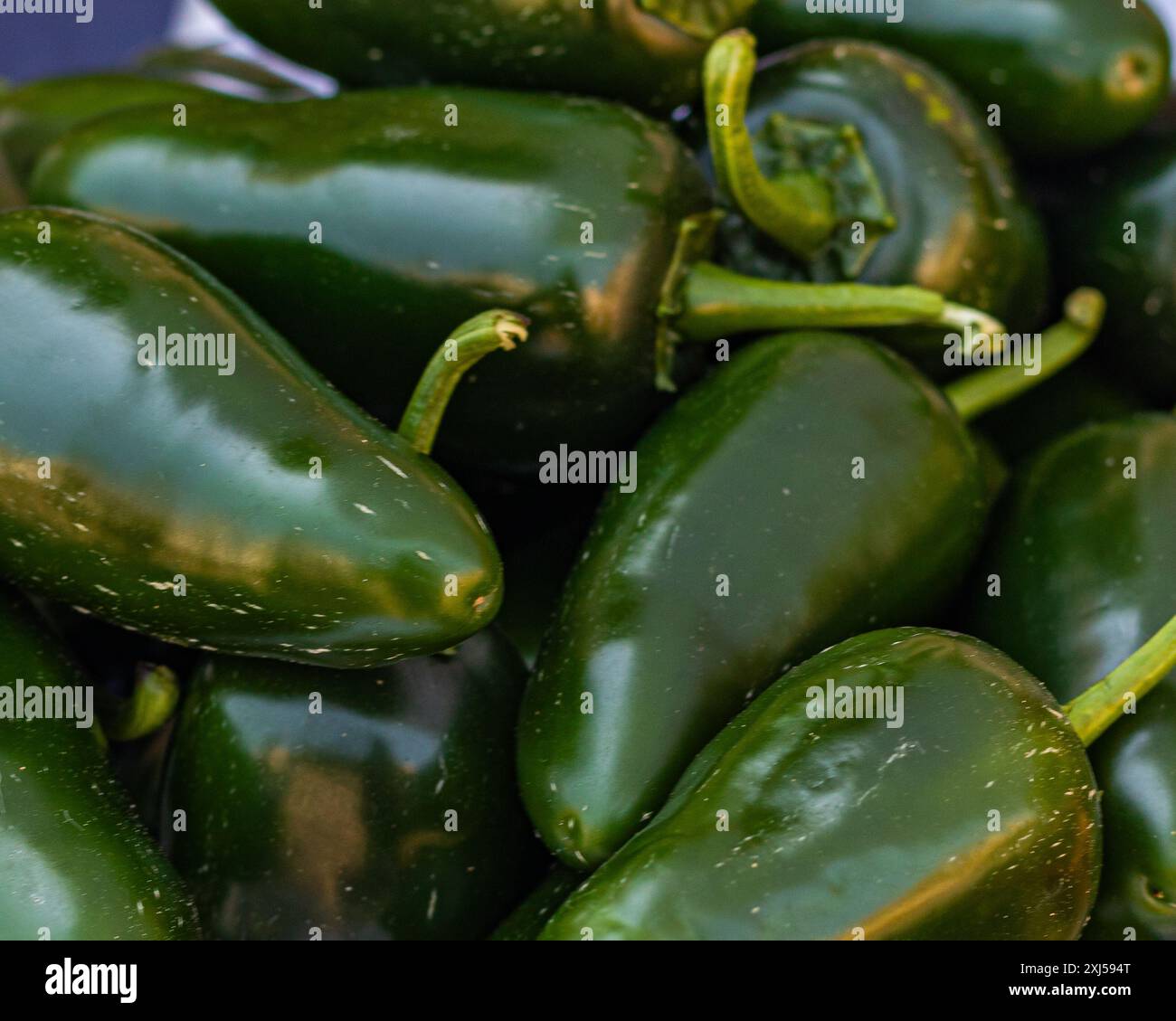 Jalapeno garden hi-res stock photography and images - Alamy