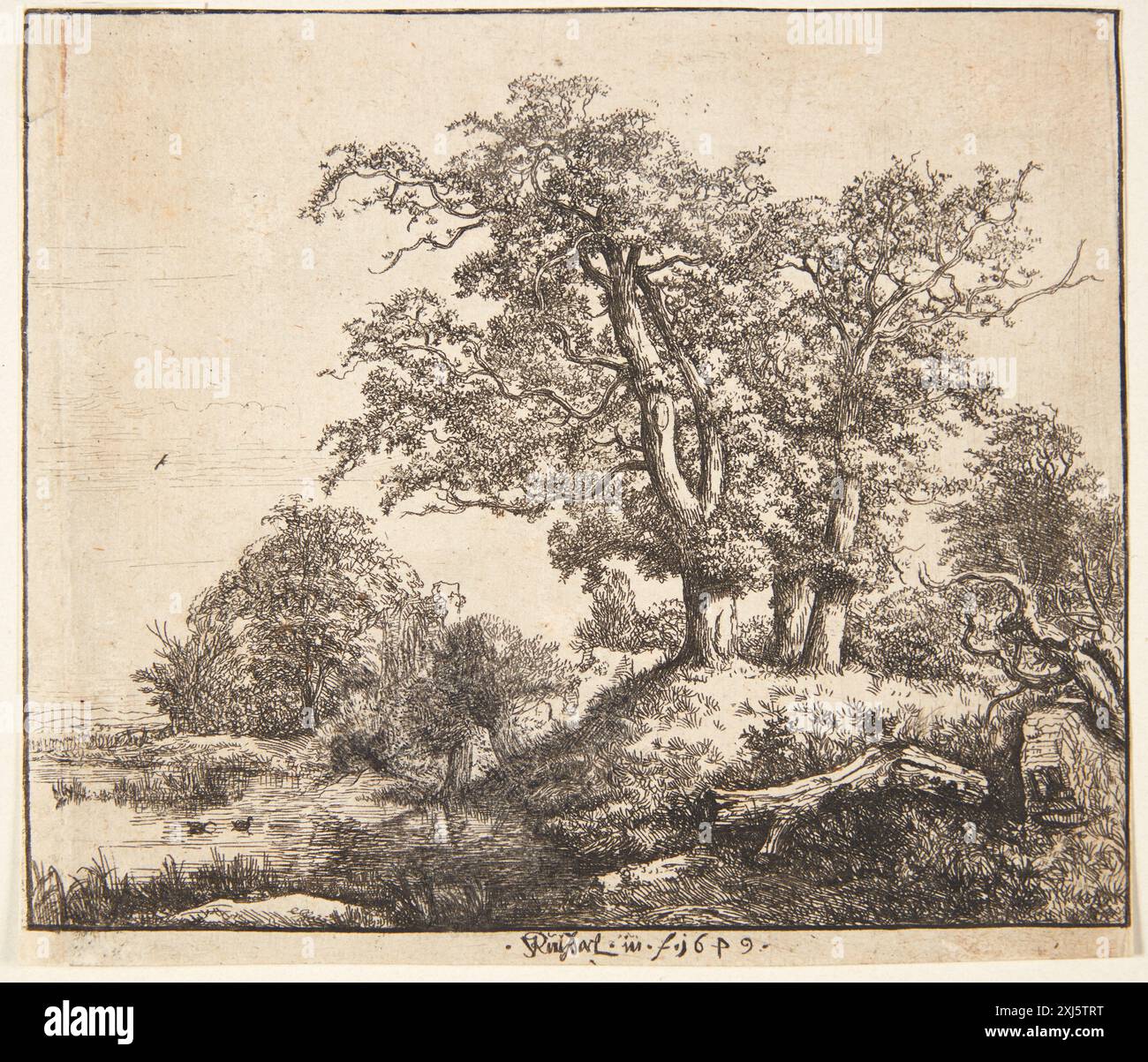 Engravings In Trees Etching by Jacob Isaacksz. van Ruisdael (1628–1682) depicting three oak ...