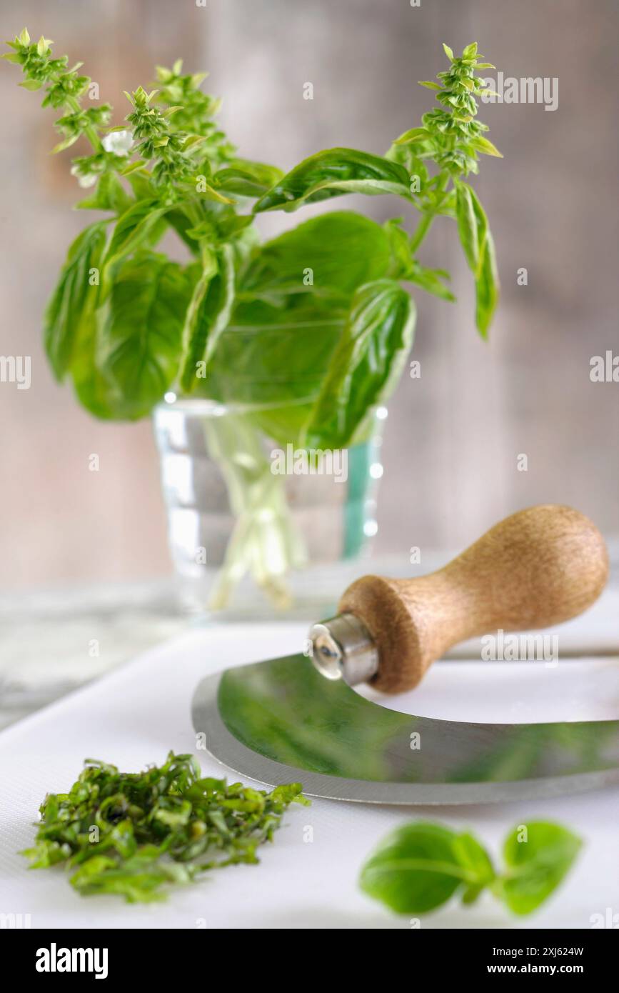 Chopped basil and chopper Stock Photo - Alamy