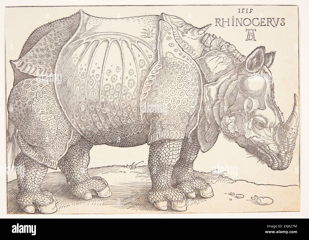 The rhinoceros Dürer, Albrecht 1471 - 1528 Woodcut, Print Dürer-Katalog: ein Handbuch über Albrecht Dürers Stiche, Radierungen, Holzschnitte, deren Zustände, Ausgaben und Wasserzeichen, Joseph Meder, nr. 273, erste Ausgabe?, 11088, 1932. The Illustrated Bartsch 10, Sixteenth Century German Artists, Albrecht Dürer: Albrecht Dürer, Walter L. Strauss, 136, C 36179, 1980. Albrecht Dürer: das druckgraphische Werk, Rainer Schoch, vol. II, nr. 241, k2004-216, 2001-2004 The rhinoceros Stock Photo