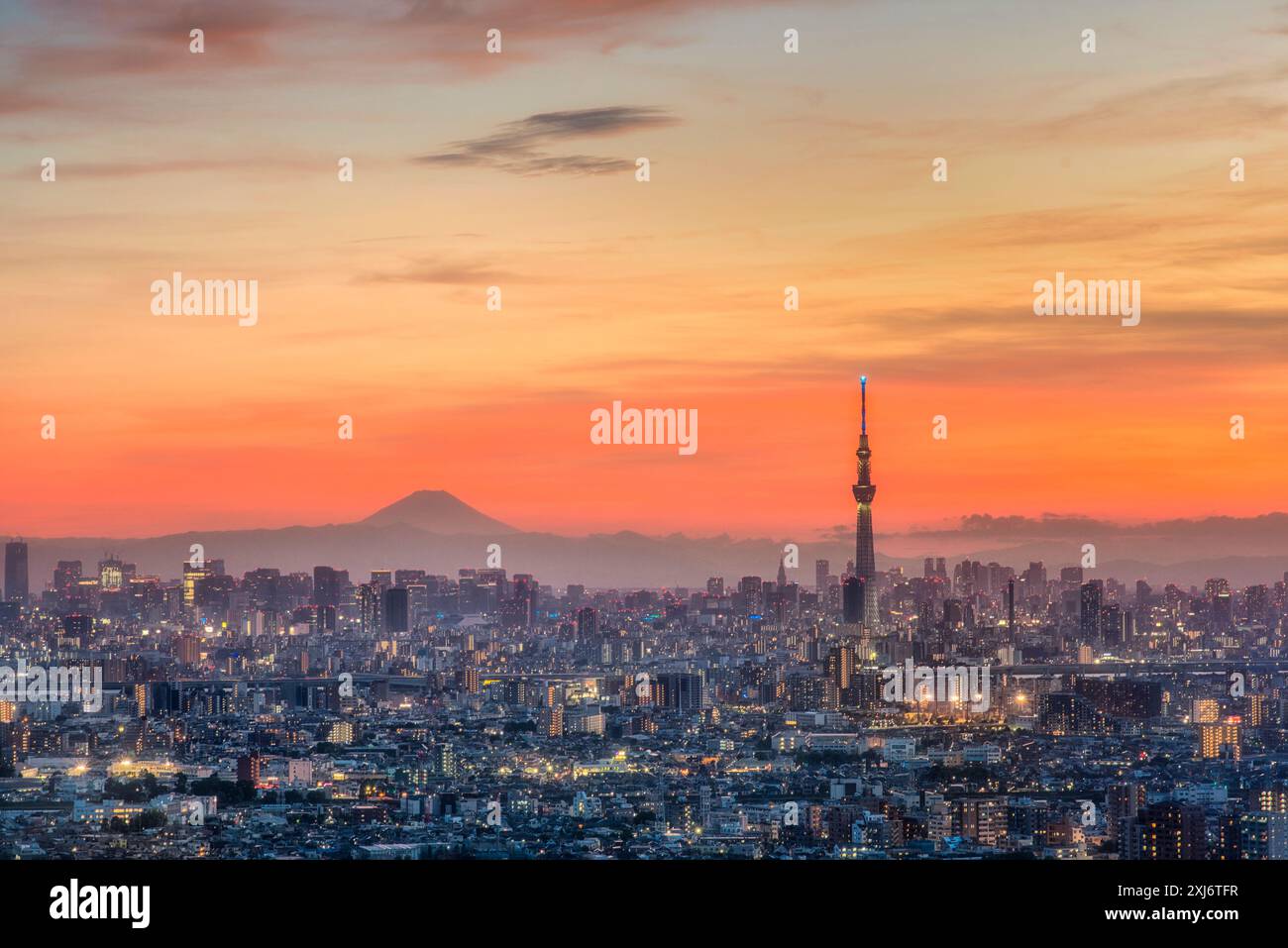 Tokyo cityscape mt fuji hi-res stock photography and images - Alamy