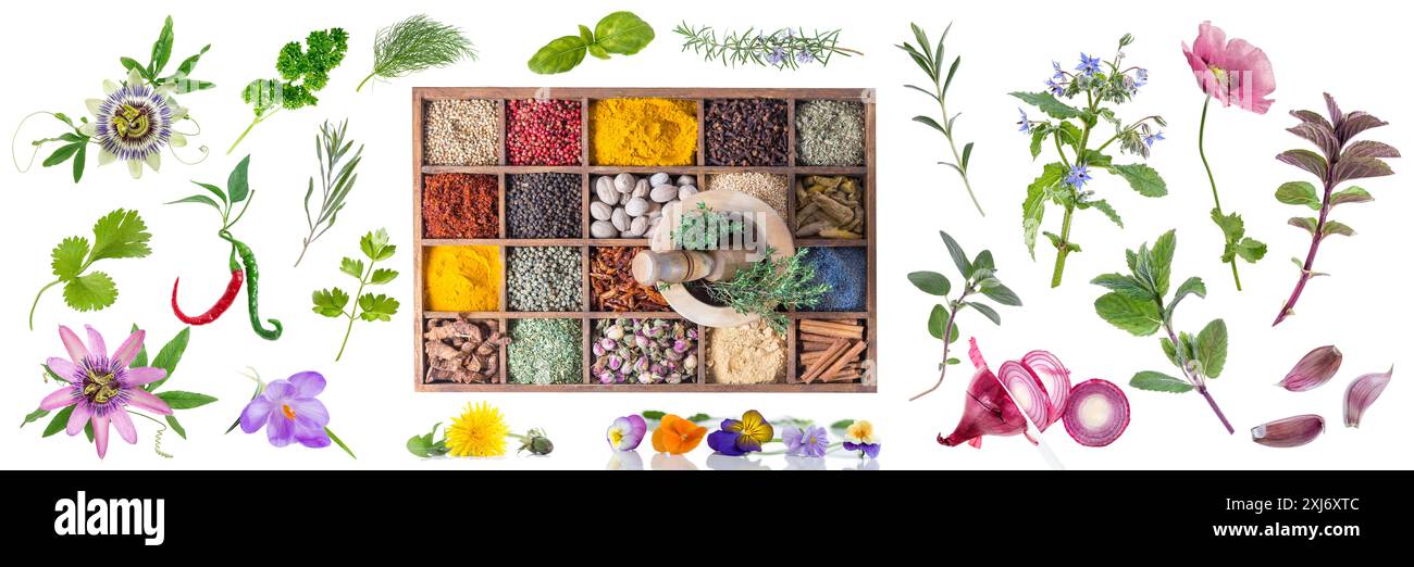 Composition with spice rack,mortar,pestle and an assortment of flowers and plants on a white background Stock Photo