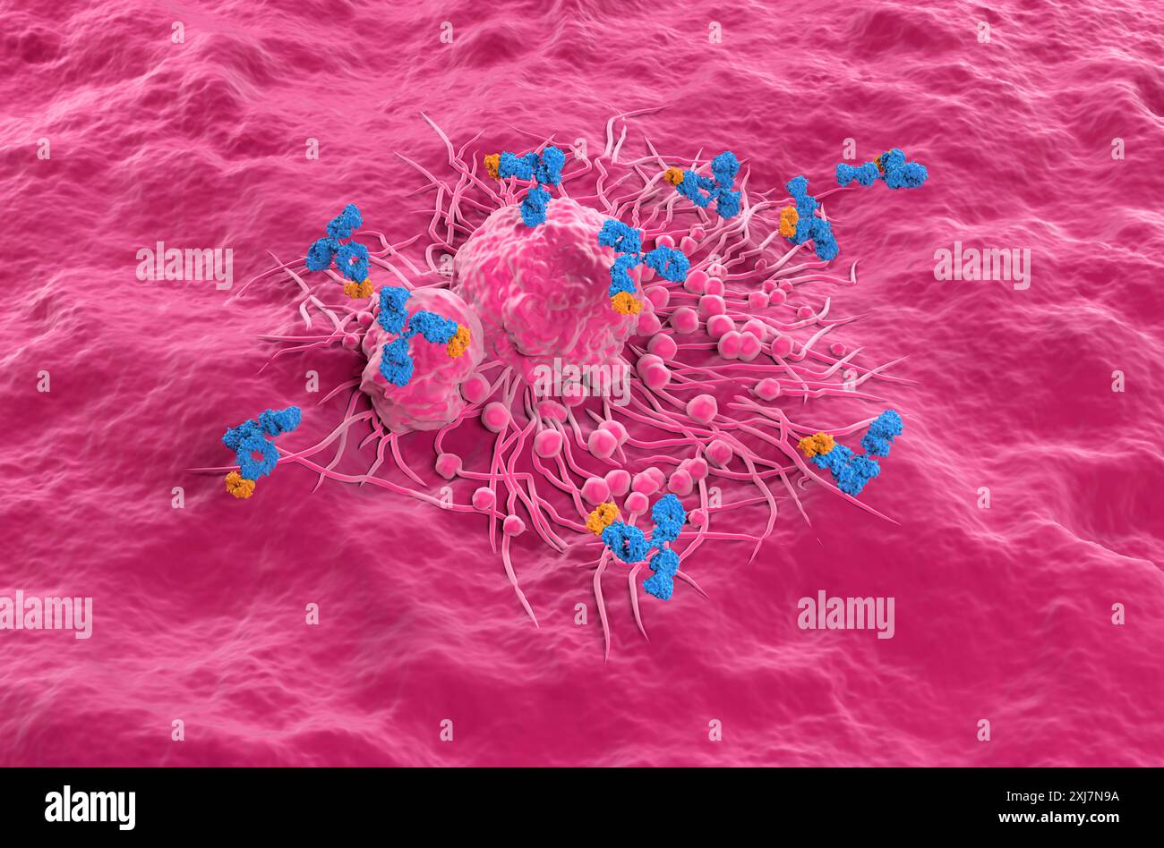 Thyroid cancer cell hi-res stock photography and images - Alamy