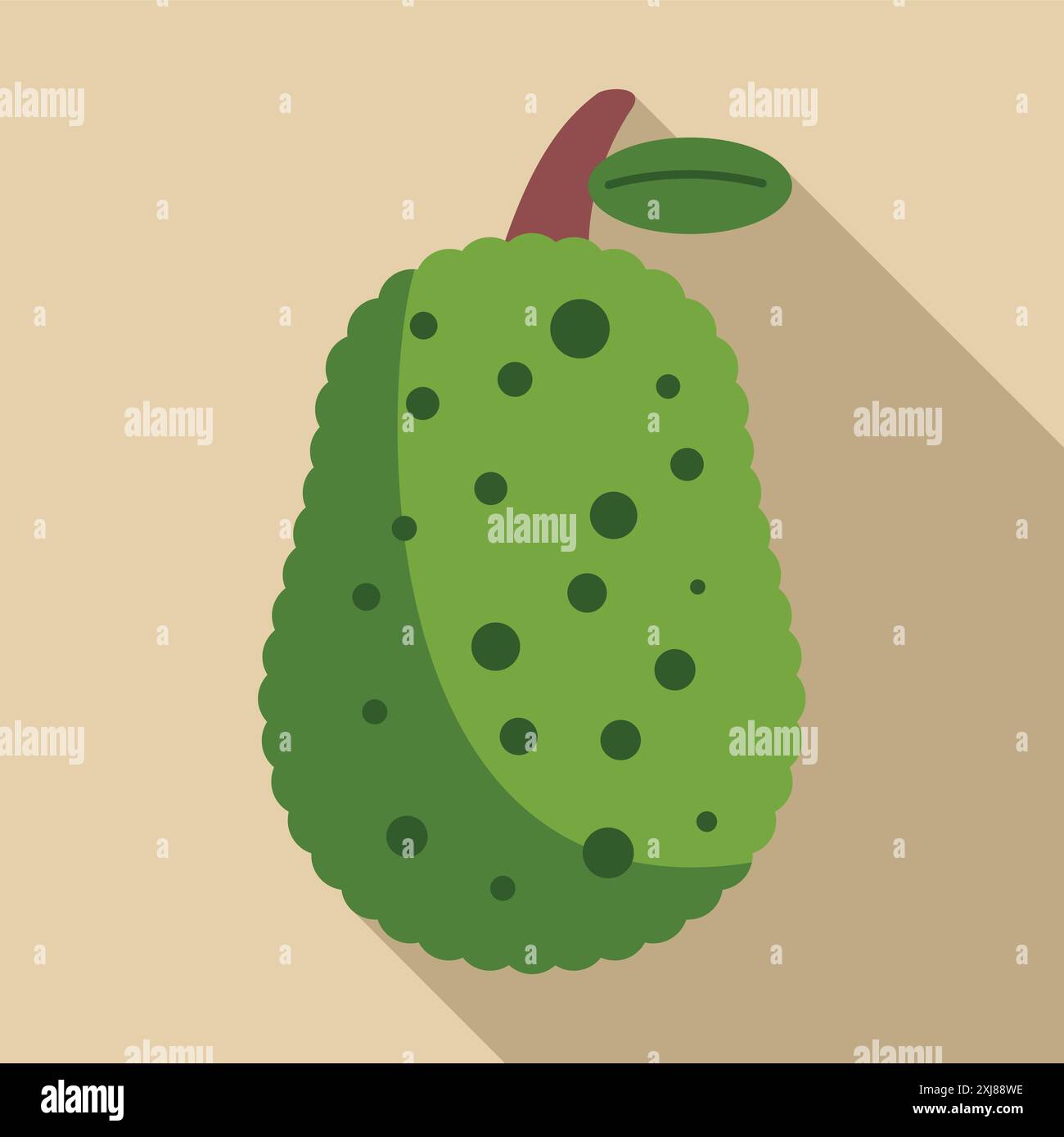 Green jackfruit with a short stem and leaf is casting a long shadow Stock Vector