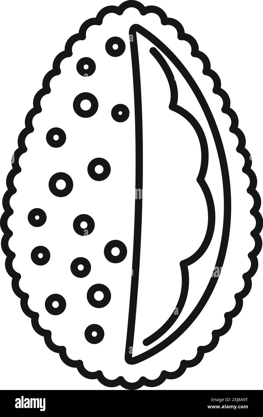 Durian fruit with its distinctive spiky shell and creamy flesh is ...