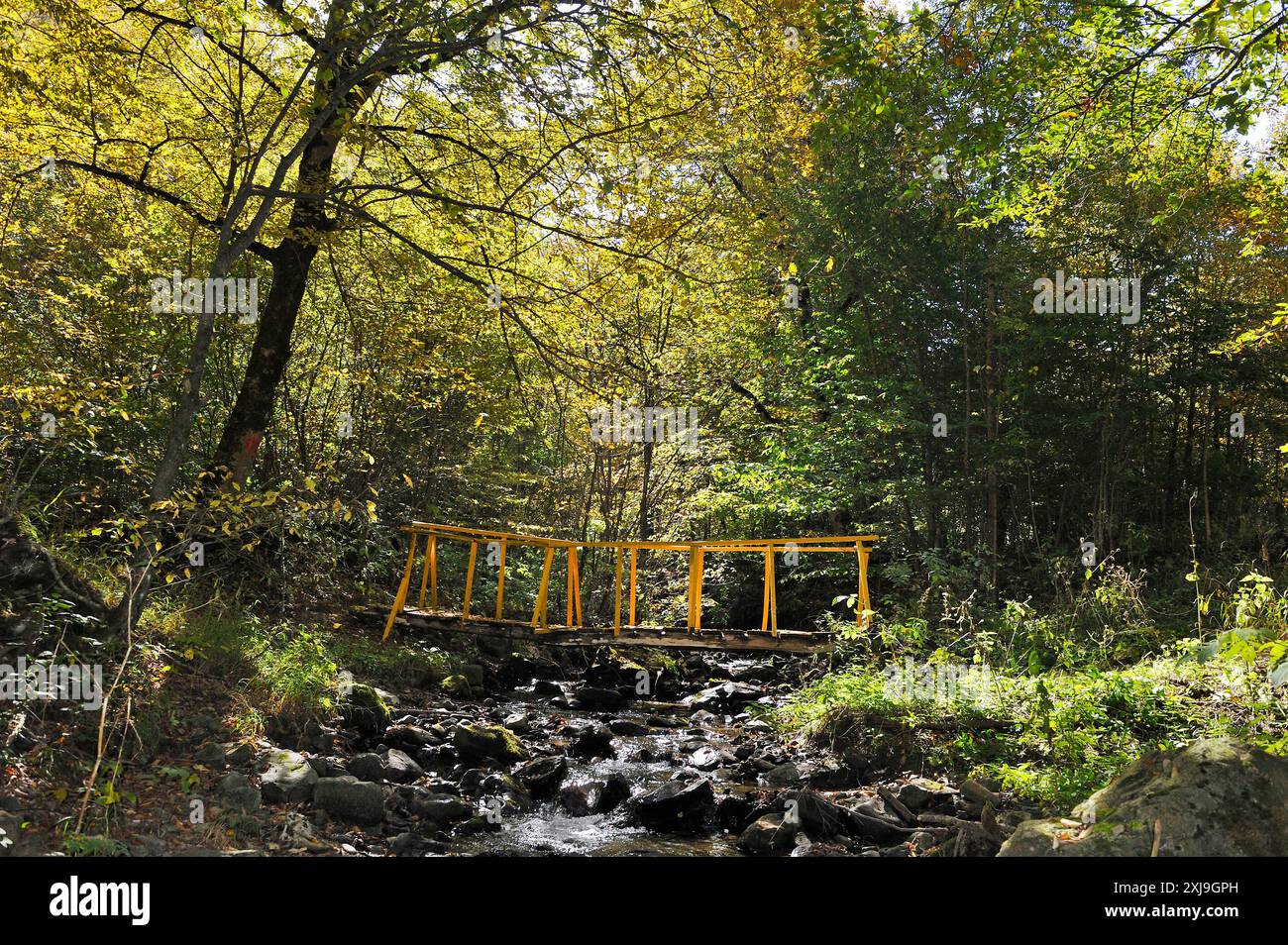 Parque Nacional de Dilijan