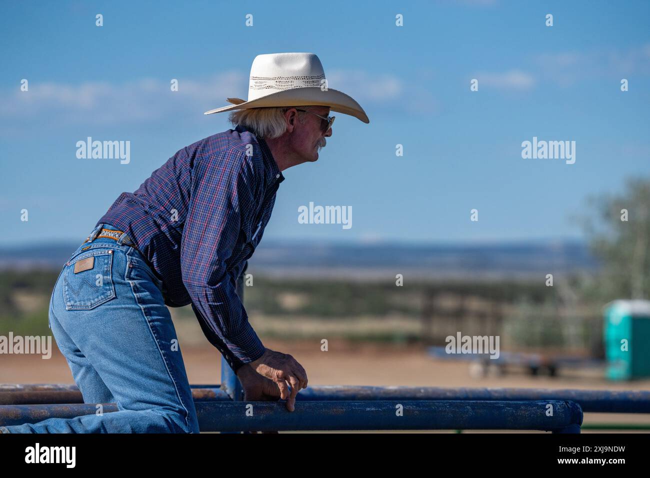 A rodeo livestock wrangler on the rail of a livestock pen before rodeo ...