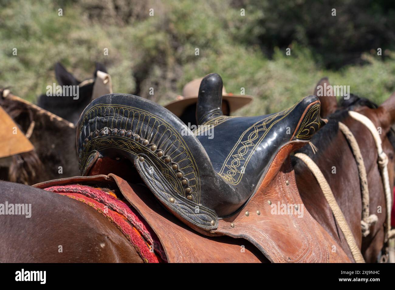 A traditional sidesaddle for a female gaucho in Cachi, Argentina Stock ...