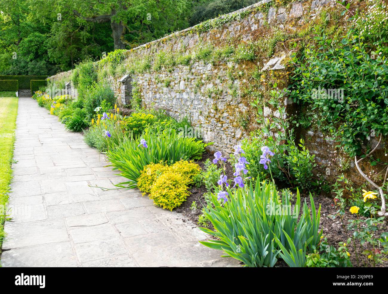 Iris grenze hi-res stock photography and images - Alamy