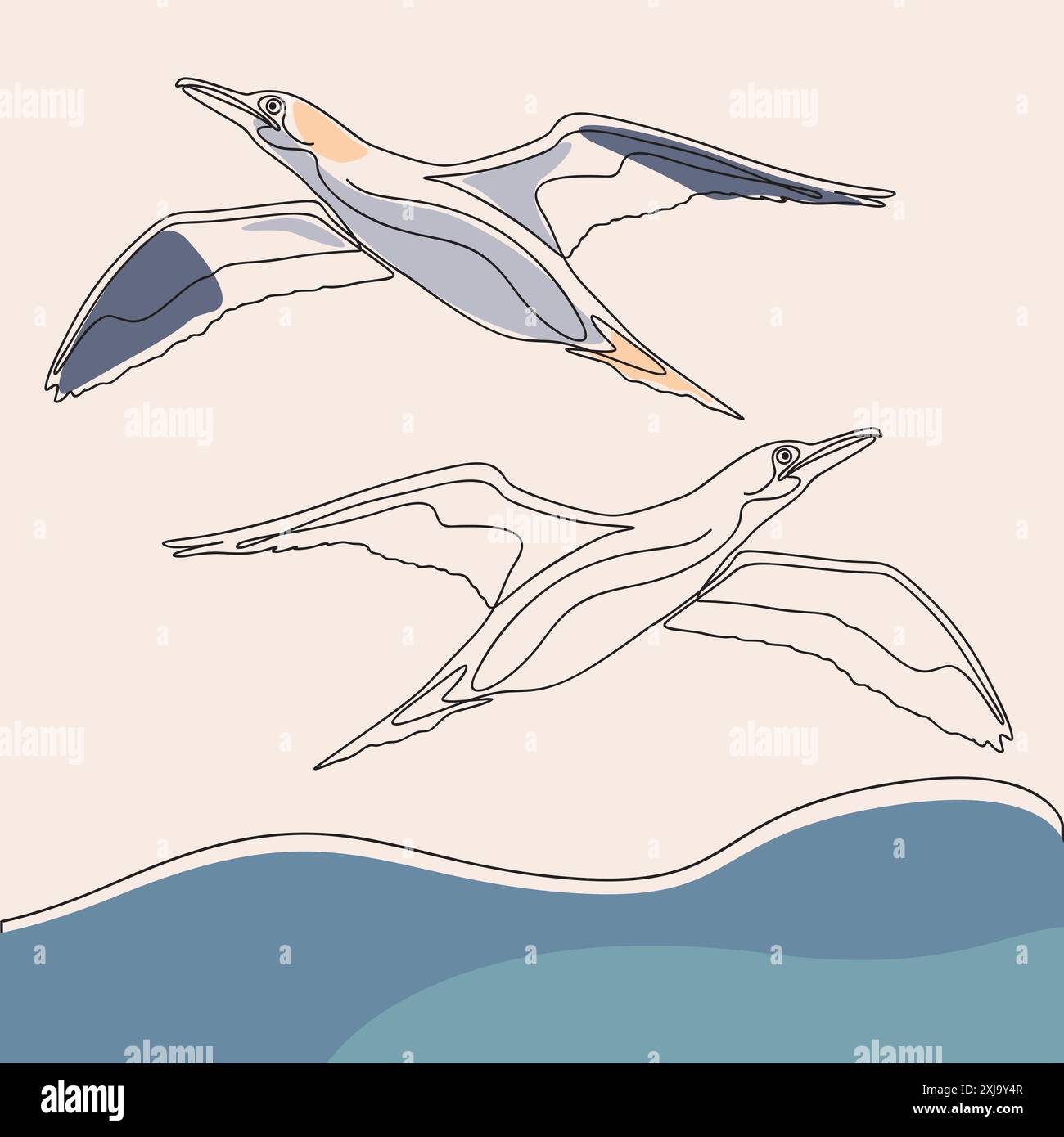 Bird with wings open wildlife natural bird Stock Vector Images - Alamy