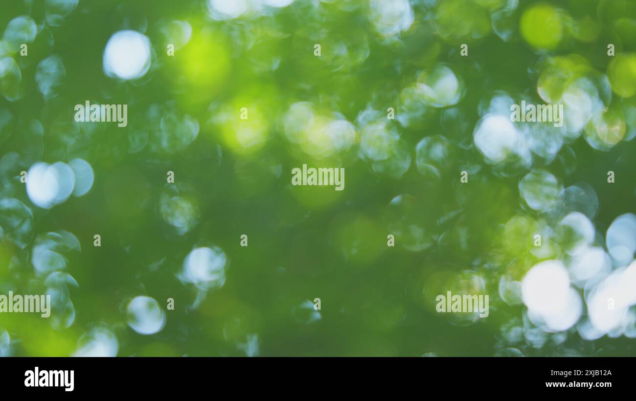 Light bokeh bokeh flickering hi-res stock photography and images - Alamy