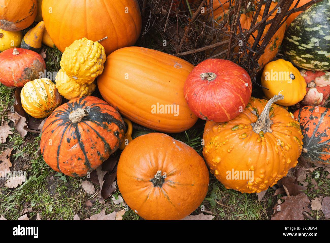 Colorful rustic fall display hi-res stock photography and images - Alamy