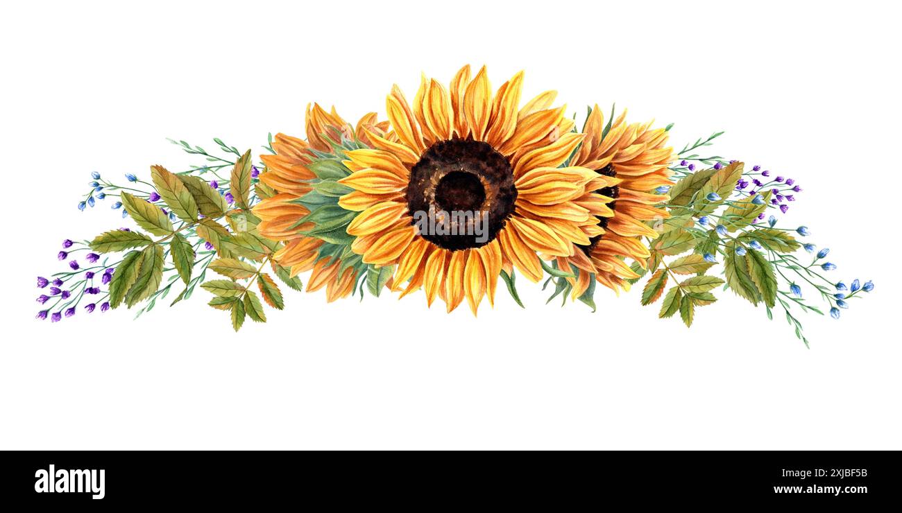 Sunflowers, herbs and autumn foliage. Sunflower wreath with green rowan leaves and delicate flowers. Field wildflowers. Watercolor illustration Stock Photo