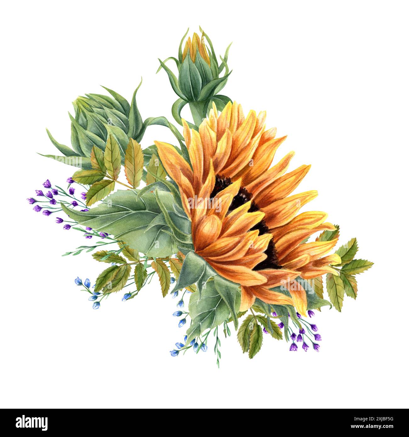 Sunflower bouquet. Blooming Herbs and autumn foliage. Sunflowers with green rowan leaves and delicate purple, blue flowers. Field wildflowers. Stock Photo