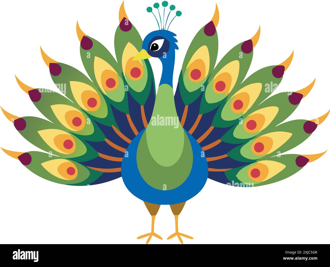 Vector illustration of a peacock with colorful and detailed feathers. Depicts the beauty and elegance of nature. Stock Vector