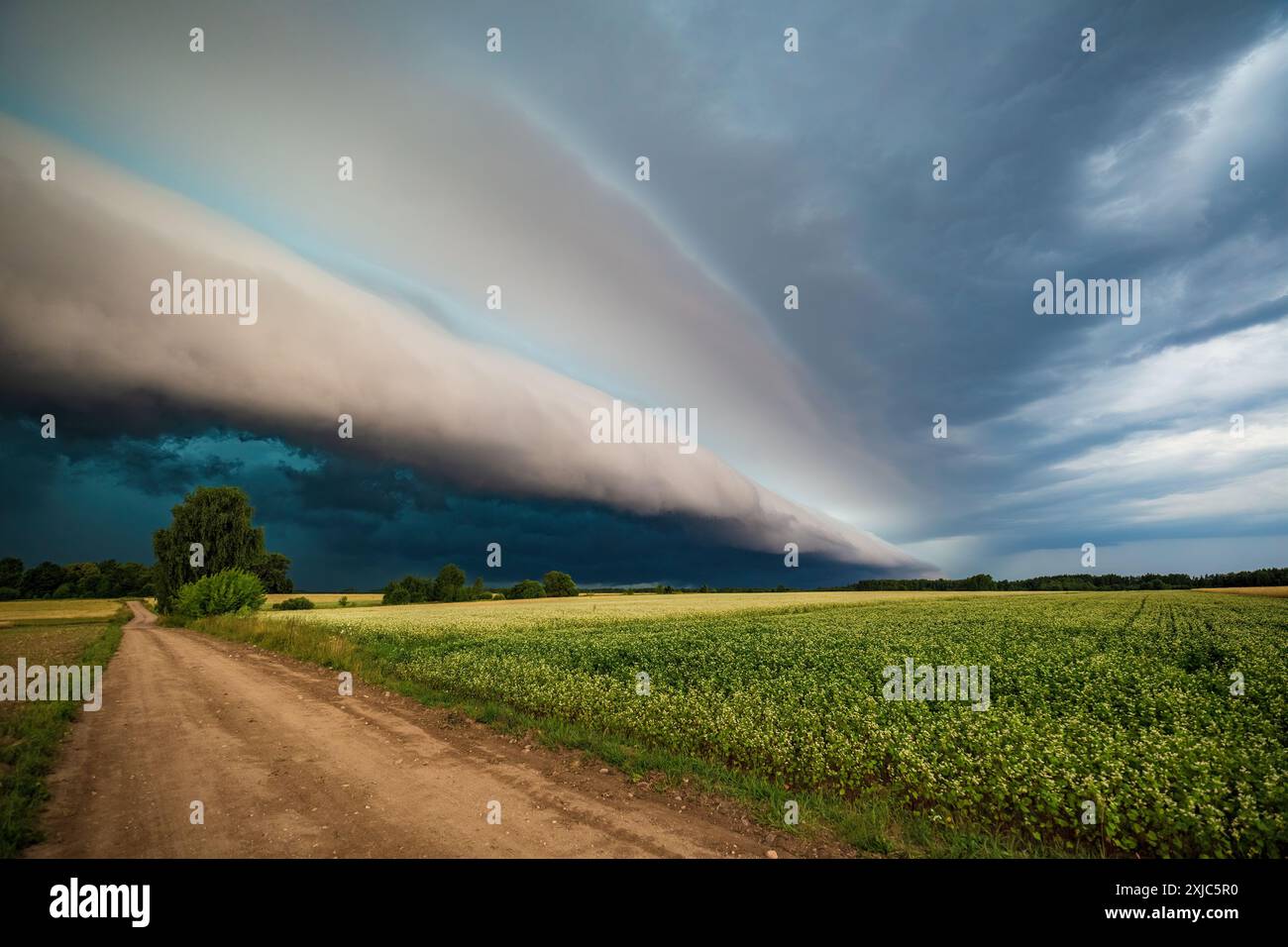 Super shelf, arcus storm cloud over the fields in summer Stock Photo