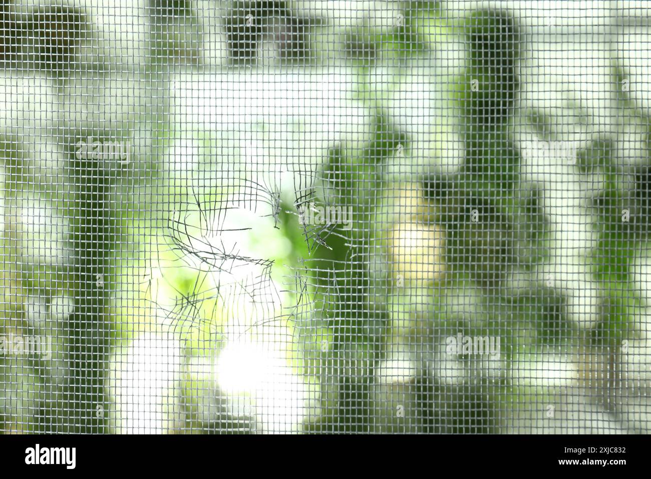 Torn window screen against blurred background, closeup Stock Photo