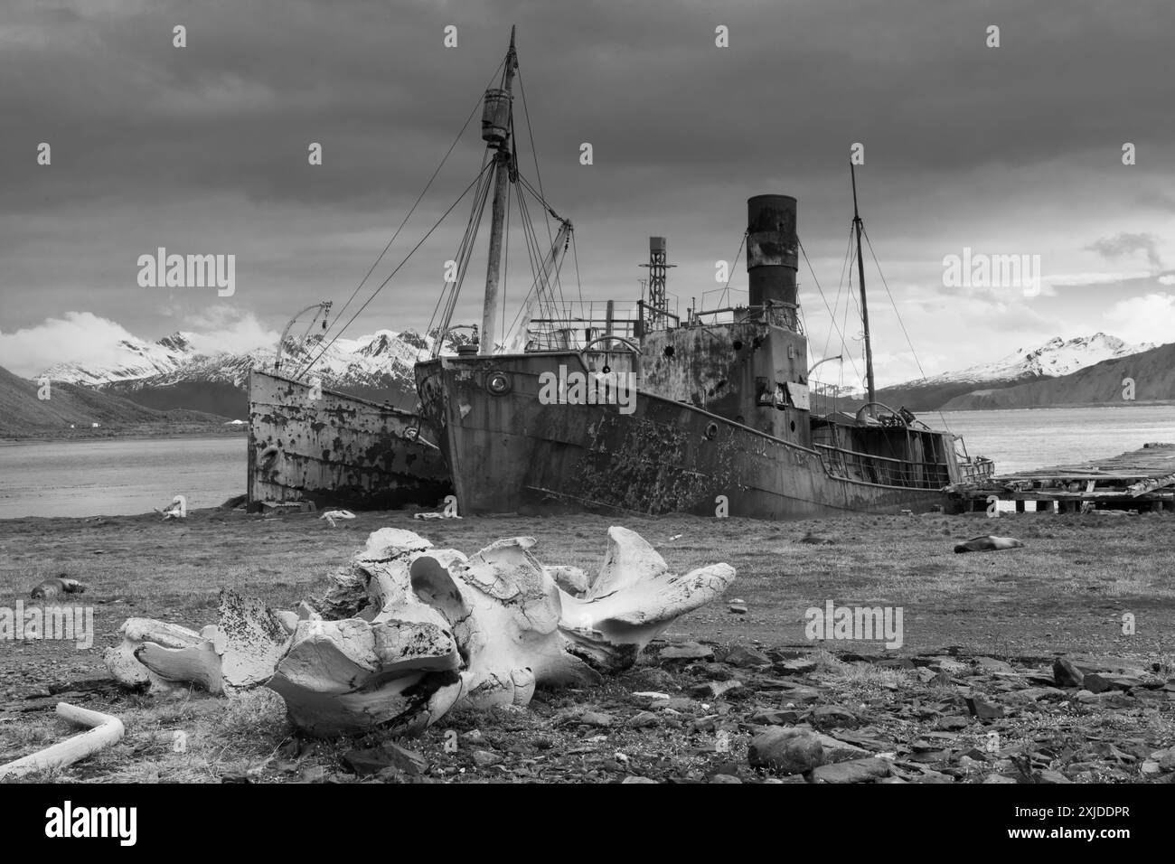 Old whaling ships in South Georgia, Antarctica Stock Photo - Alamy