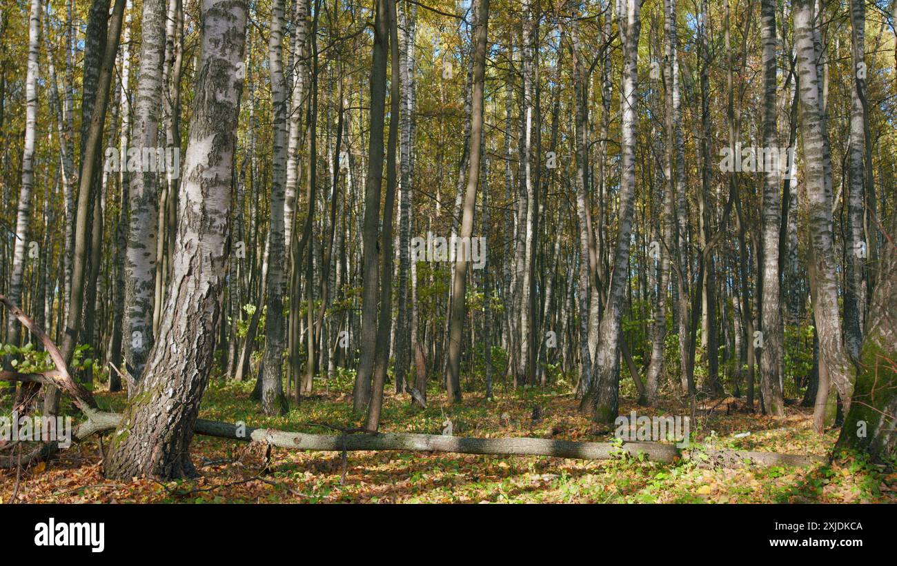 Static outdoor scene changing sunlight hi-res stock photography and ...