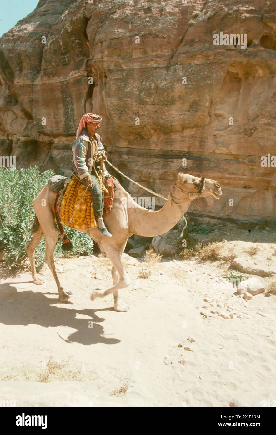 Policeman riding camel hi-res stock photography and images - Alamy