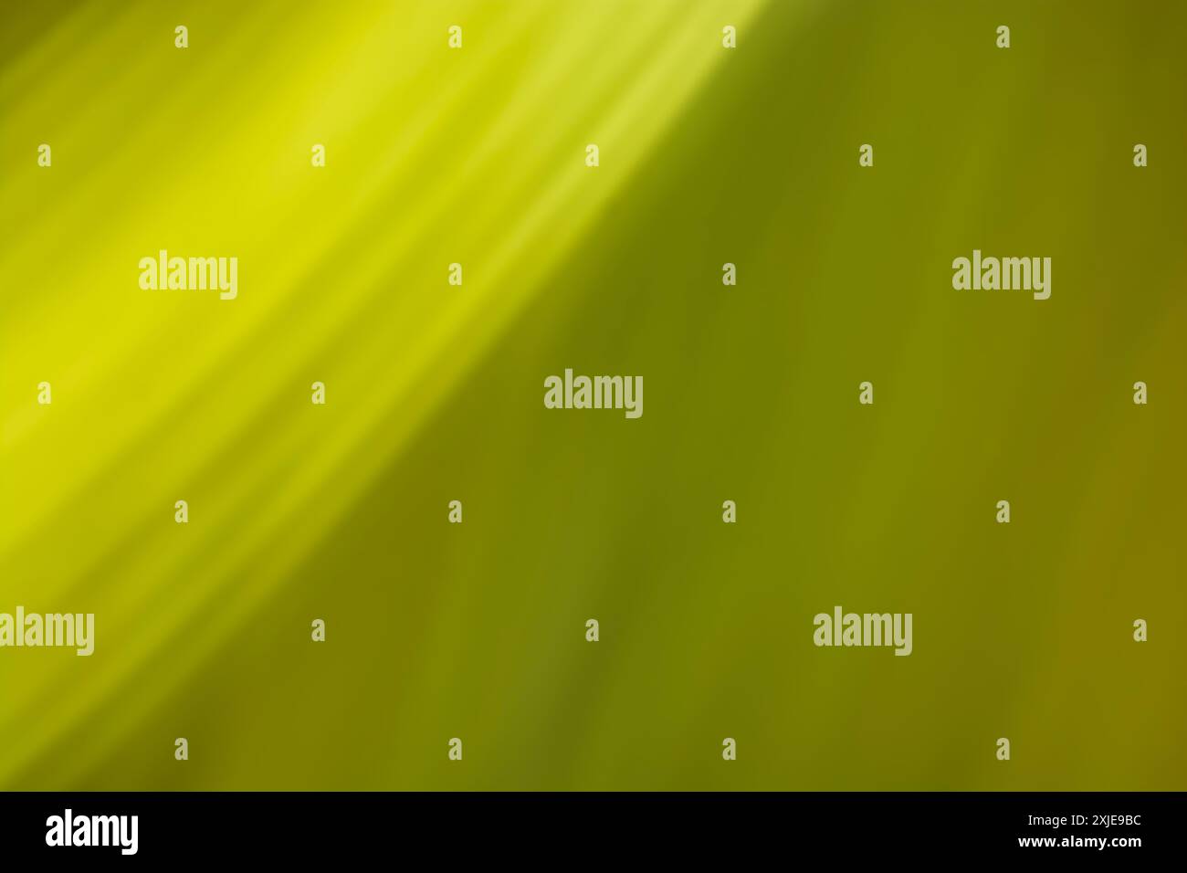 abstract background with green bokeh defocused lights and shadow Stock Photo