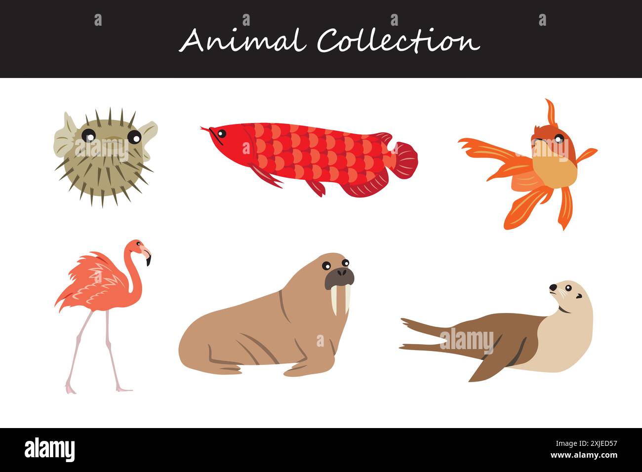 Animals collection. Flat style vector illustration Stock Vector Image ...