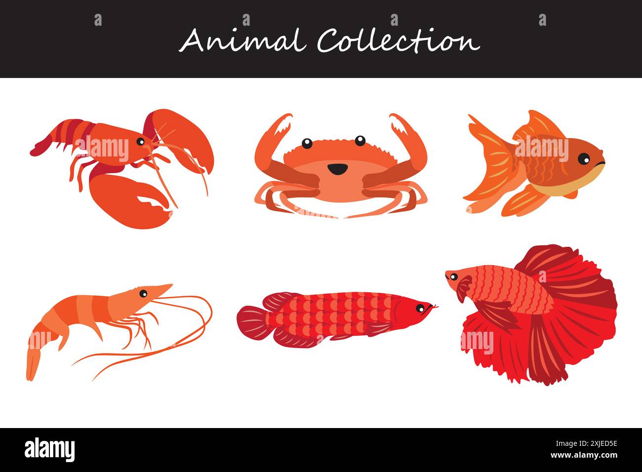 Animals collection. Flat style vector illustration Stock Vector Image ...