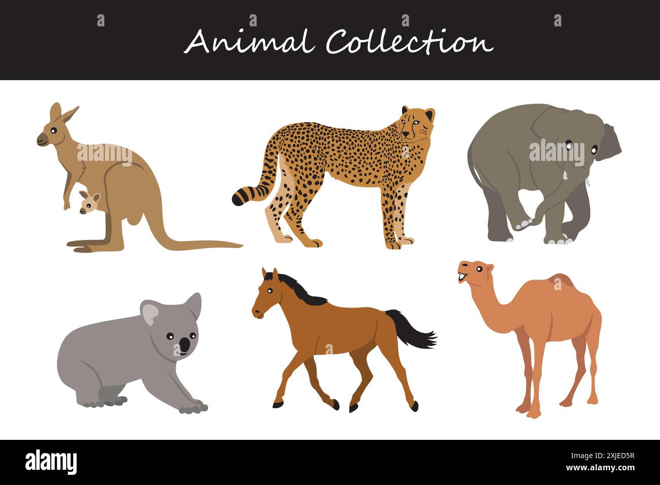 Animals collection. Flat style vector illustration Stock Vector Image ...