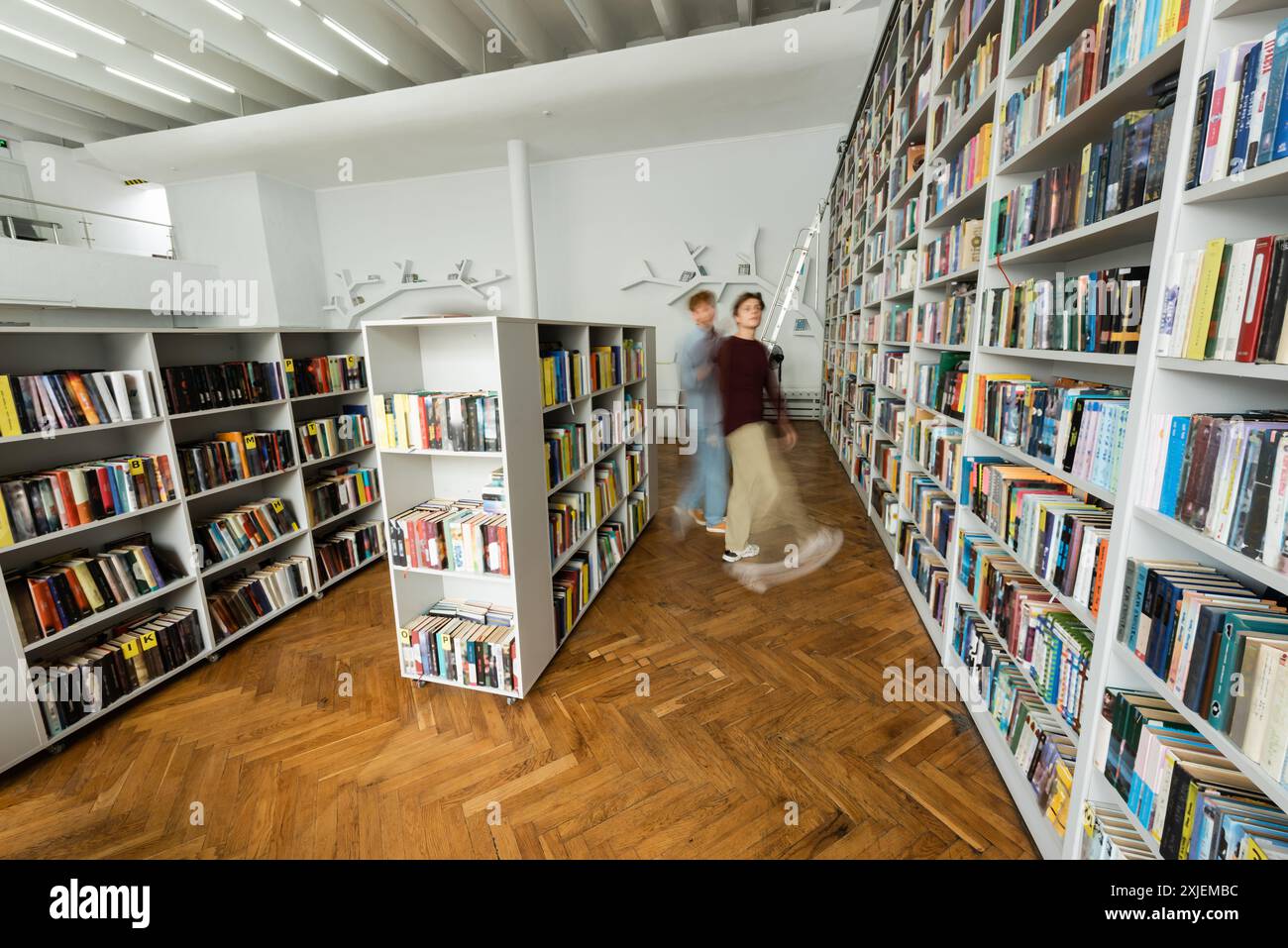 Two studious young men engrossed in books inside a quiet library. Stock Photo