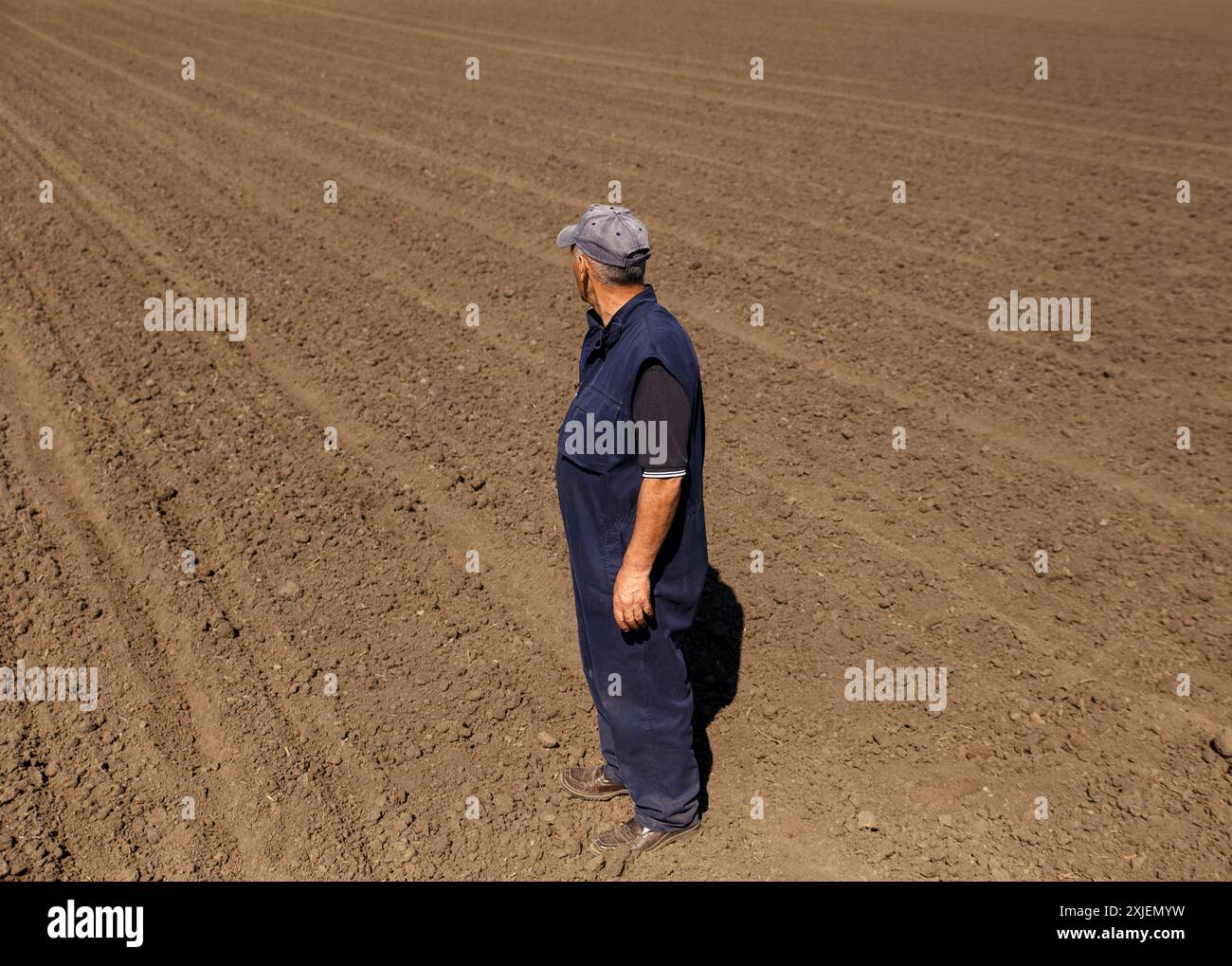 Farmer standing in tractor field hi-res stock photography and images ...