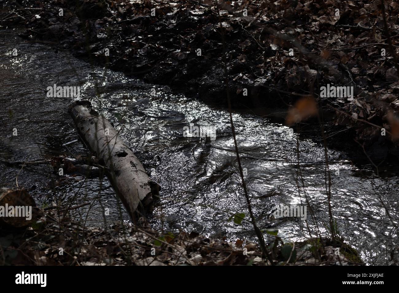 Brook rivulet hi-res stock photography and images - Alamy