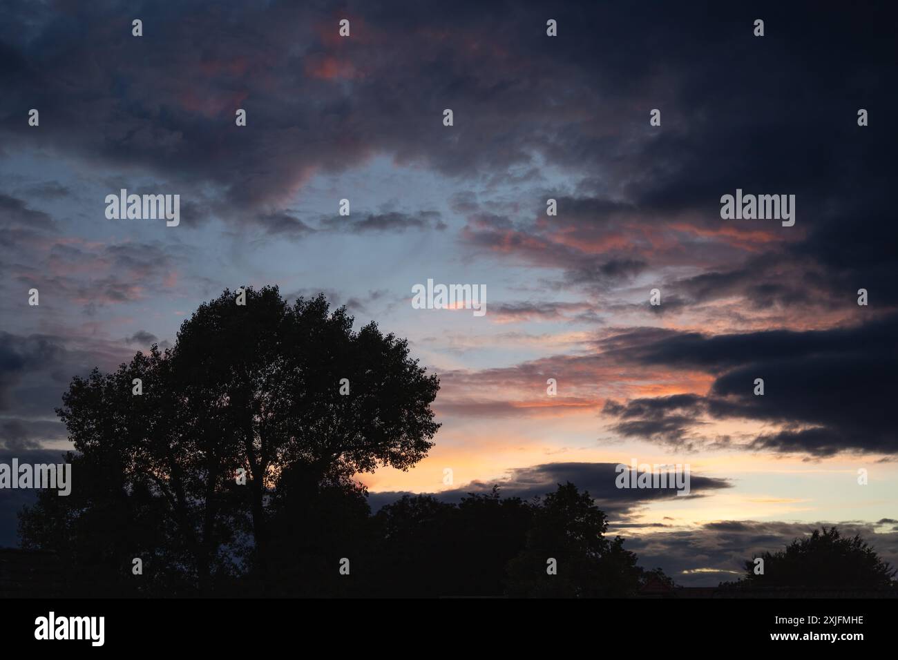 Clouds and trees Stock Photo - Alamy