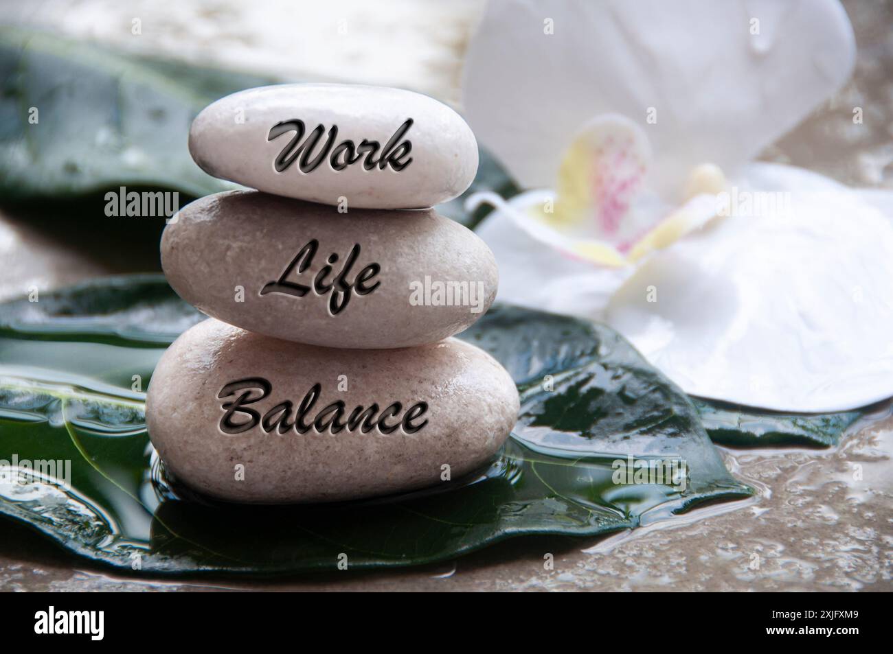 Work life balance text engraved on zen stones with space for text. Life ...