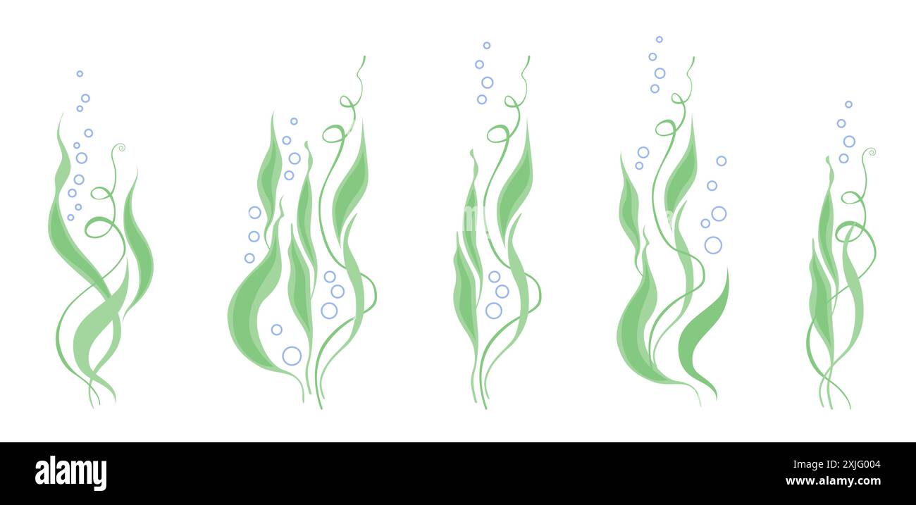 Water plants. Bubbles in water. Vector design elements. Stock Vector